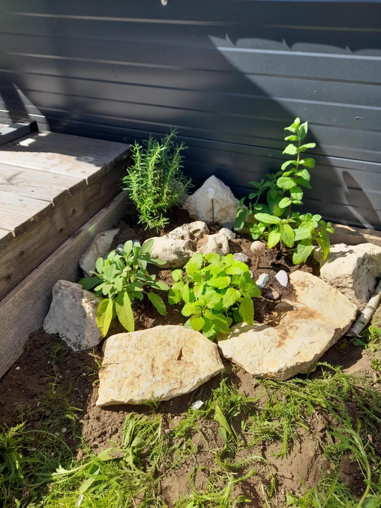 Вилла Tinyhouse Wemding Экстерьер фото